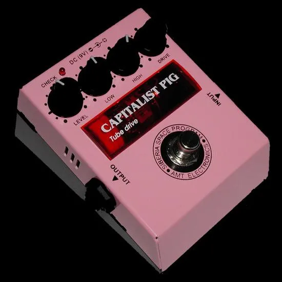 AMT Electronics Capitalist Pig