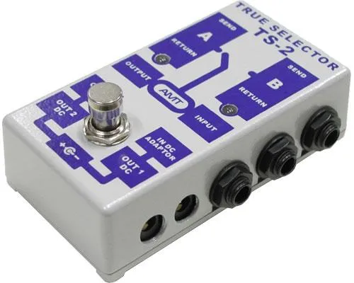 AMT Electronics TS-2 True Selector