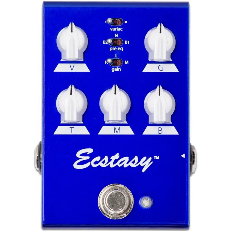 Bogner Amplification Ecstasy Mini 30-Watt Head