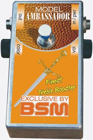 BSM Ambassador