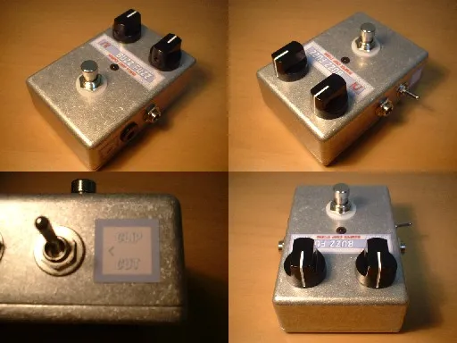 Bumper Crop Studio Buzz Fuzz