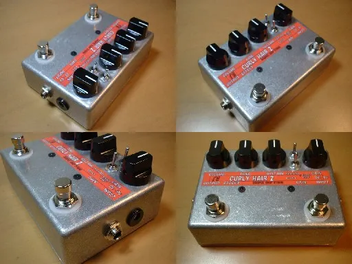 Bumper Crop Studio Curly Hair 2