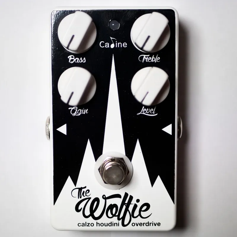 Caline The Wolfie - Calzo Houdini Overdrive