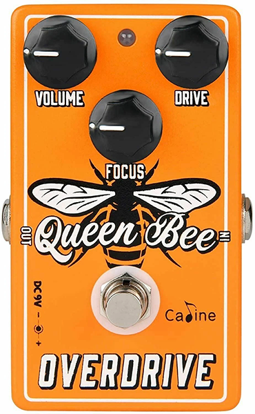 Caline CP-503 Queen Bee Overdrive