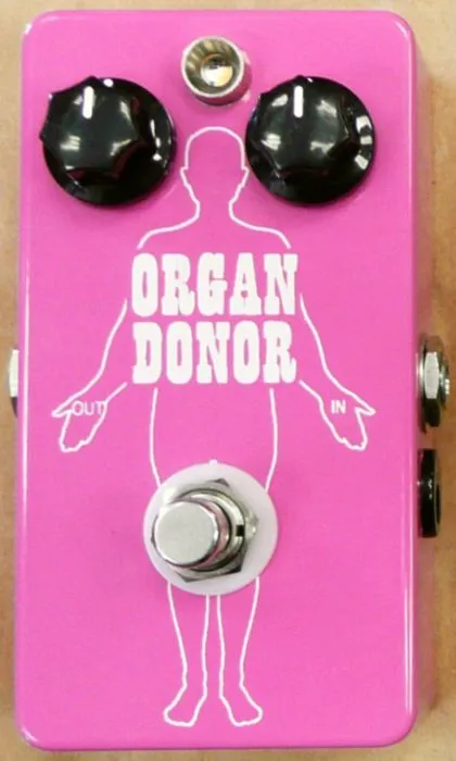 Casey Gooby Organ Donor