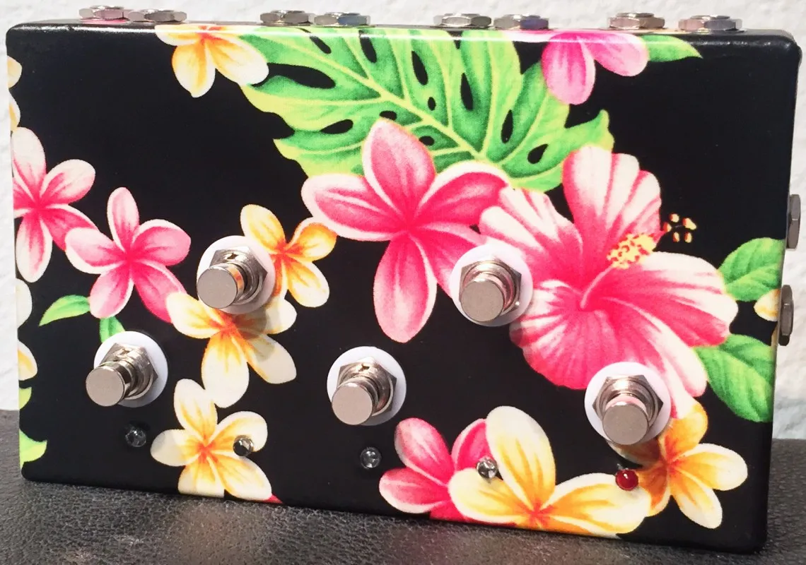 Caswell Modern Electronics (CME) Pacific Switcher