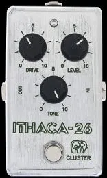 Cluster Effects Ithaca-26