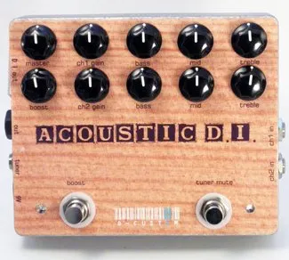 D-Custom Acoustic DI