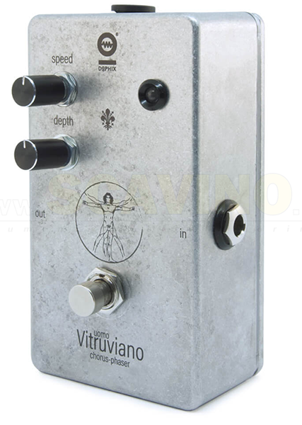 Dolphin's Sound Uomo Vitruviano
