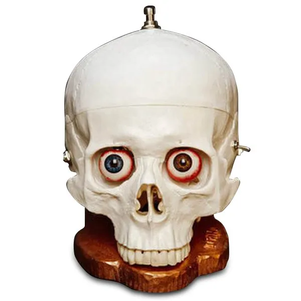 Dr. No Skull Fuzz