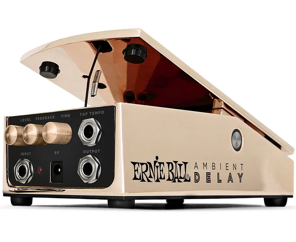 Ernie Ball 6184 Ambient Delay