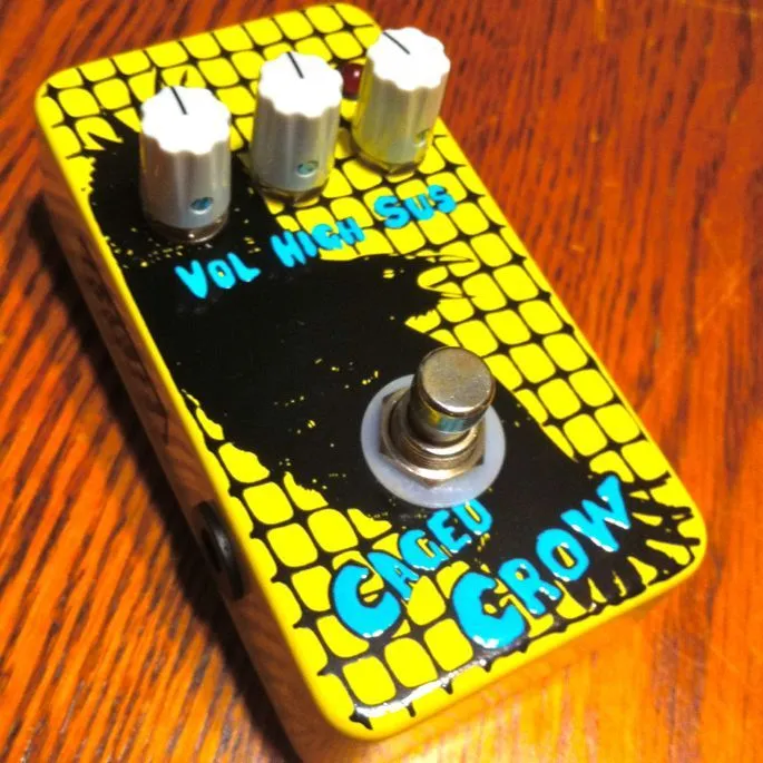 Flickinger Caged Crow