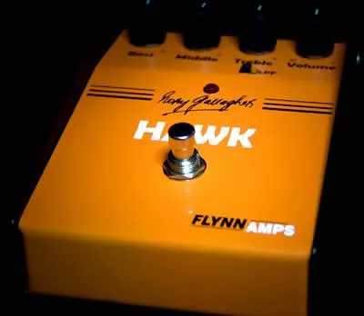 Flynn Amps Rory Gallagher Hawk