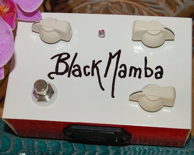 Jacques Black Mamba