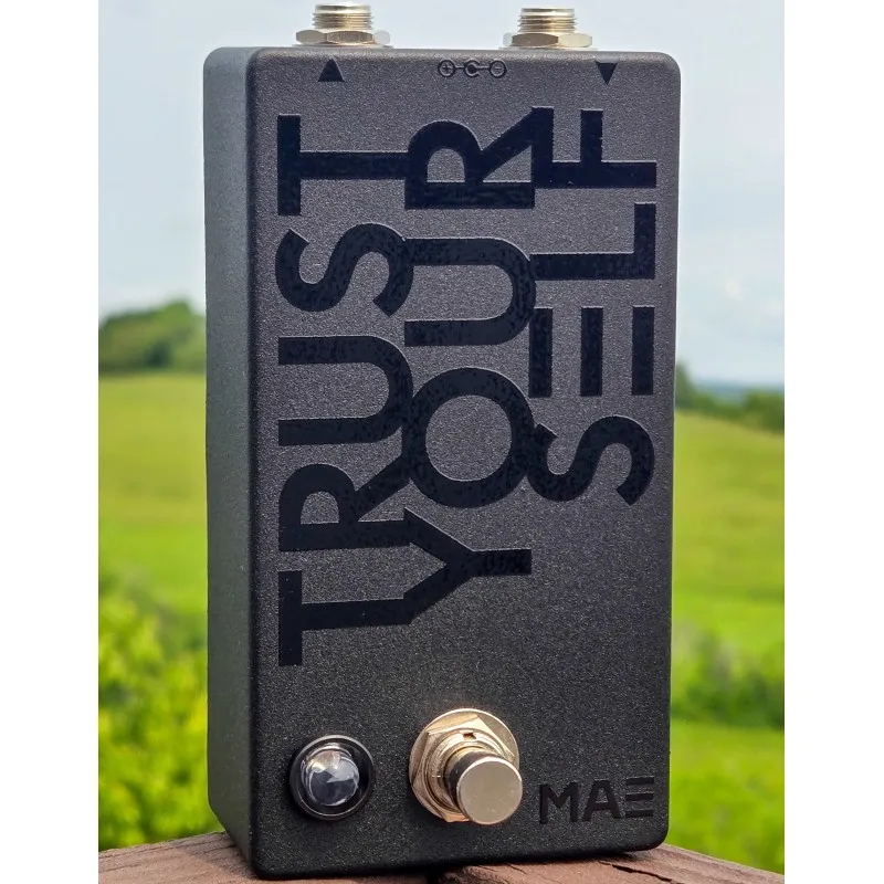 Mask Audio Electronics Trust Yourself