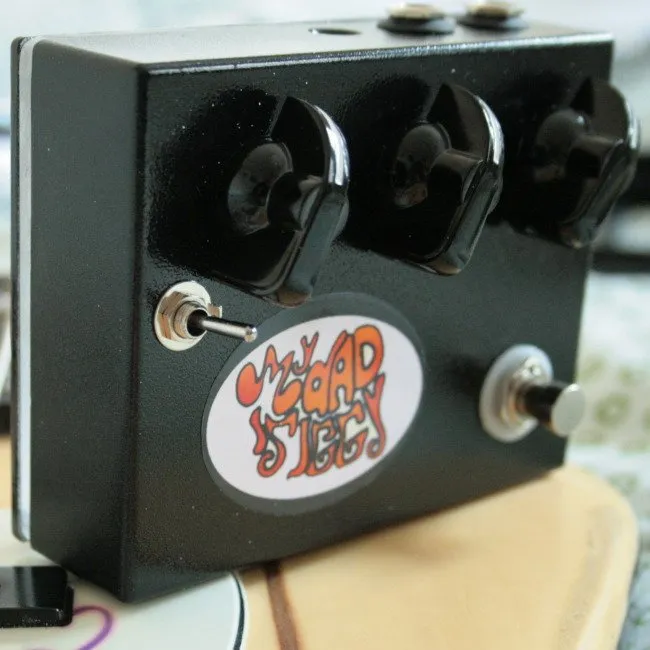 My Dad Is Iggy Space Chorus