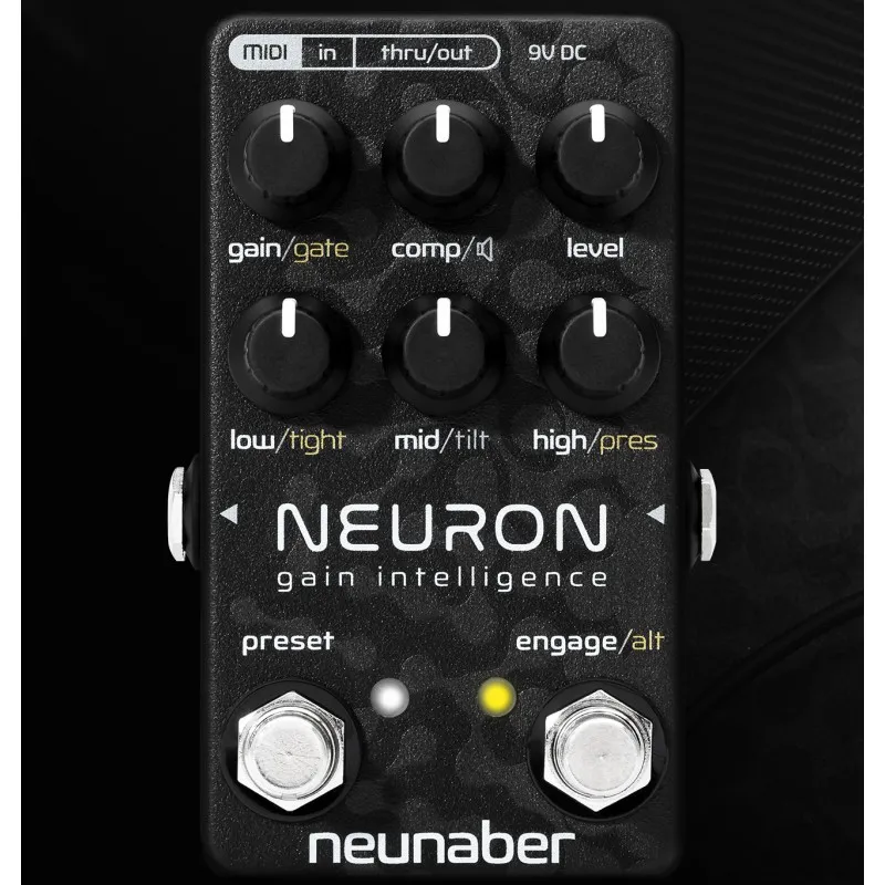 Neunaber Technology Neuron - Gain Intelligence