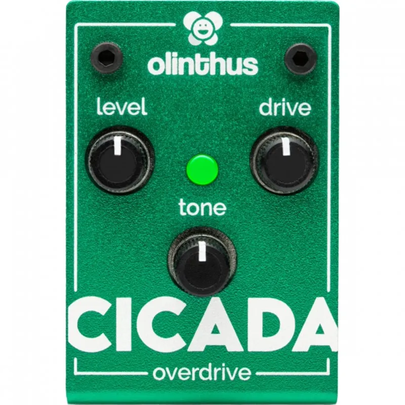 Olinthus Cicada - Overdrive