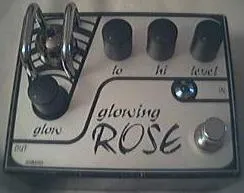 Ollmann Glowing Rose