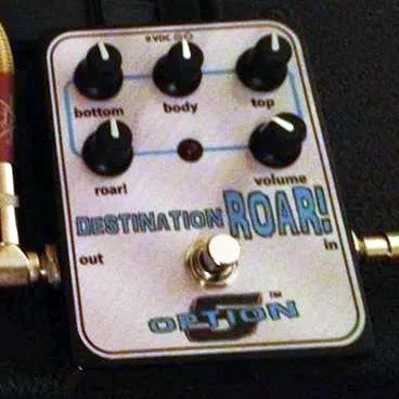 Option 5 Destination Roar!