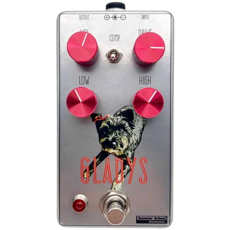 Summer School Electronics Gladys