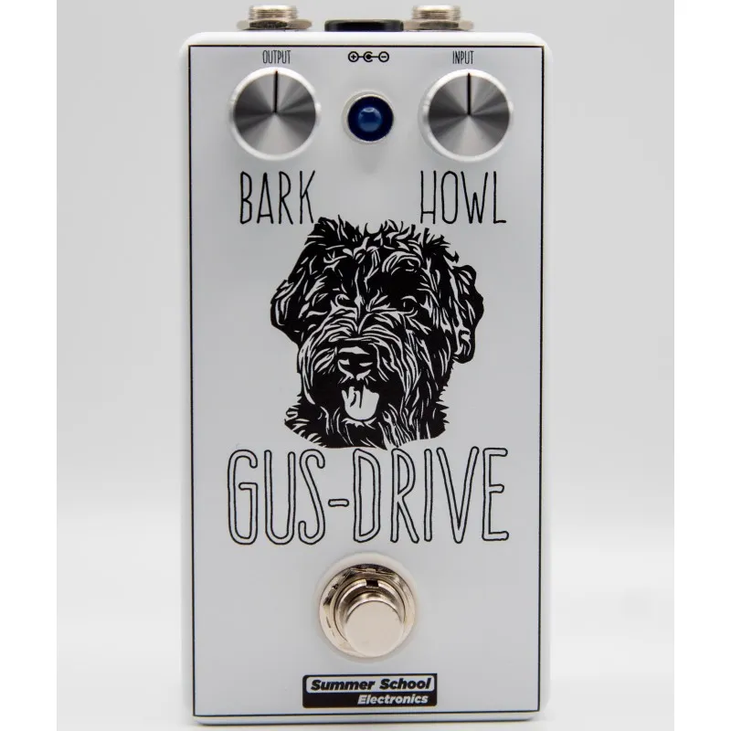 Summer School Electronics Gus-Drive