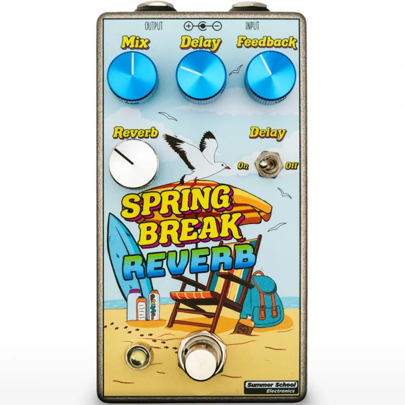 Summer School Electronics Spring Break Reverb
