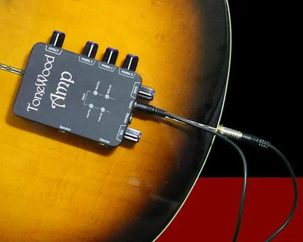 ToneWoodAmp