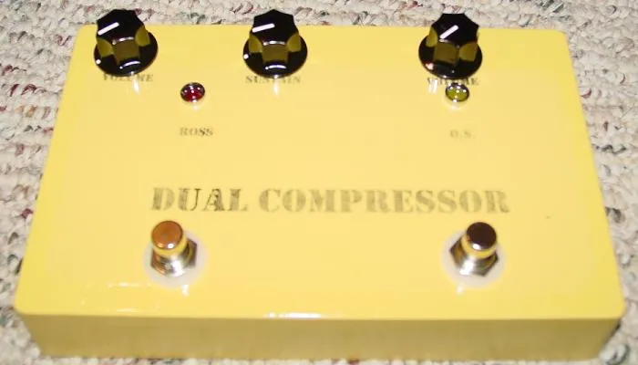 Wilson Effects Dual Compressor